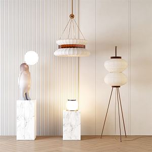 Modern lighting combination chandelier floor lamp 3d model