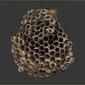 Bee Made Natural Honeycomb Structure With Intricate Hexagonal Cells Design Details 3d model