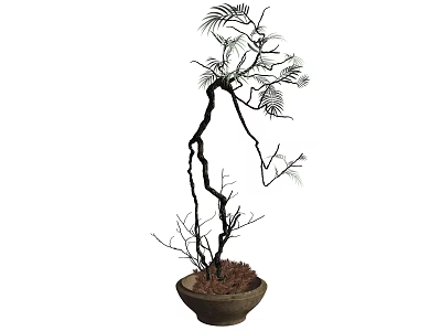Bonsai Plant With Curved Branches And Delicate Leaves In Terracotta Pot For Home Decor 3d model