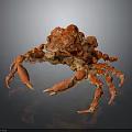 Striking Red Spiny Crab With Long Legs On Dark Reflective Background 3d model