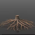 3D Rendered Arbor Stump with Extensive Root System on Dark Reflective Surface