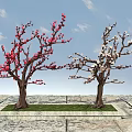 Two Trees With Red And White Flowers Against Blue Sky On Stone Ground With Grass