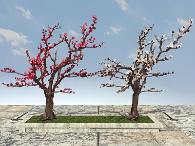 Two Trees With Red And White Flowers Against Blue Sky On Stone Ground With Grass 3d model