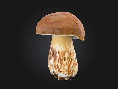 Natural Brown Cap Mushroom with White Stem and Spotted Texture 3d model