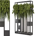 Decorative Ornament Set With Hanging Green Plants And Metal Frame Structure