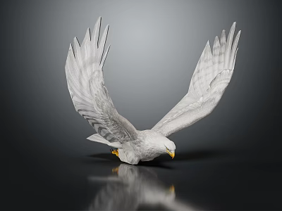 White Eagle With Spread Wings Standing On Black Smooth Surface With Reflection 3d model