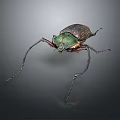 Metallic Green Spotted Beetle With Long Antennae And Legs On Dark Background