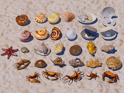 Marine Themed Decorative Ornament Set With Various Shells Starfish And Crabs On Sandy Background 3d model