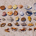Marine Themed Decorative Ornament Set With Various Shells Starfish And Crabs On Sandy Background
