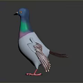Colorful Pigeon 3D Model with Blue Head Green Neck Pink Chest and White Body