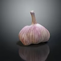 Fresh Garlic Vegetable Bulb With Purple Stripes On Reflective Black Surface