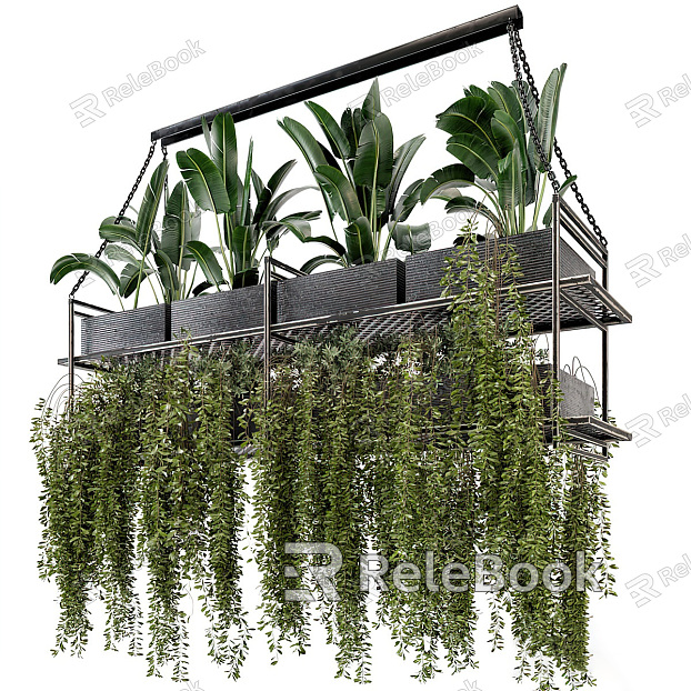 Modern Hanging Basket Green Plant Bonsai Hanging Basket Plant Combination Indoor Potted Hanging Basket Ceiling Combination model