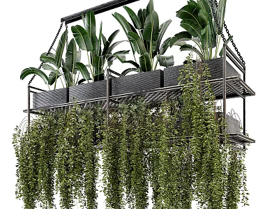 Multi Tiered Hanging Planter With Lush Trailing Green Foliage And Tropical Plants 3d model