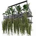 Multi Tiered Hanging Planter With Lush Trailing Green Foliage And Tropical Plants