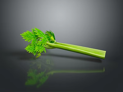 Fresh Green Celery Stalk With Vibrant Leaves And Reflection On Black Surface 3d model