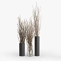 Decorative Ornament Set with Twigs in Black Cylindrical and Clear Glass Vases for Modern Decor