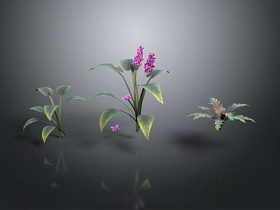 Three Different Plants With Purple Flowers Green Leaves On Gray Background With Reflections 3d model