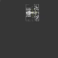 Detailed Aquatic Animal Frog Skeleton Anatomical Structure On Black Background