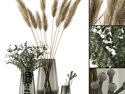 Decorative Ornament Set With Pampas Grass Eucalyptus Leaves And Glass Vases For Home Decor 3d model