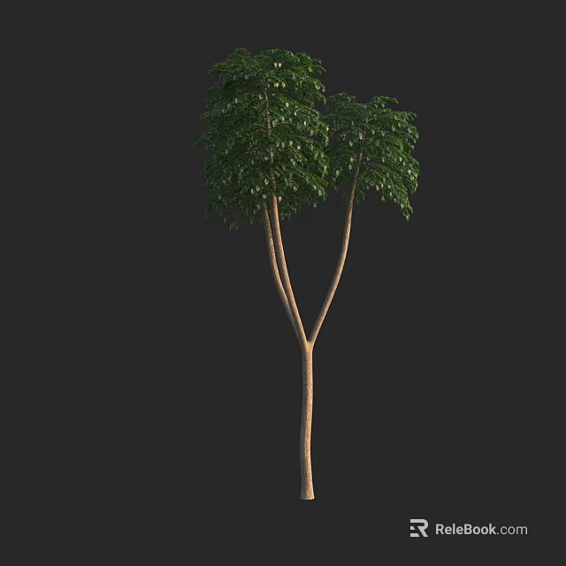 Arbor With Twin Trunks And Lush Green Foliage In Isolated Background 3d model 