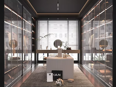 Modern Luxury Walk-in Closet Interior With Glass Doors Dressing Table And Mirror 3d model