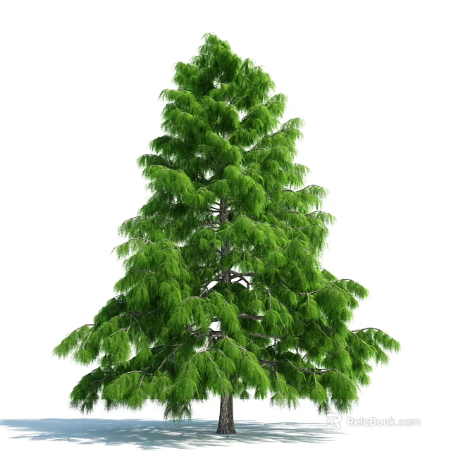 Tall Green Arbor with Dense Lush Foliage and Vibrant Needles 3d model 