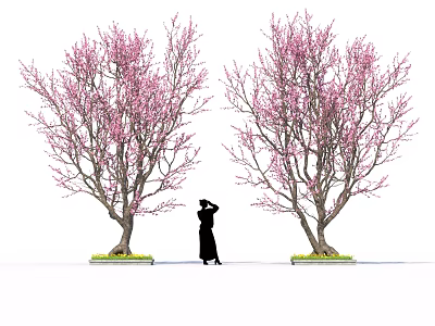 Delicious Sakura Desserts Under Blossoming Trees With Silhouette Person Enjoying 3d model