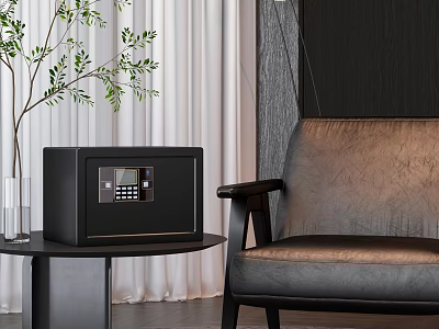 Modern Living Room Interior Design With Black Safe Leather Sofa Green Plant And White Curtains 3d model