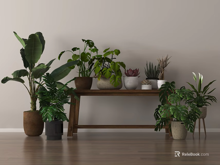 Variety of Indoor Potted Plants on Wooden Table and Floor with Light Wall Background 3d model 