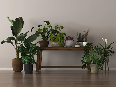 Variety of Indoor Potted Plants on Wooden Table and Floor with Light Wall Background 3d model