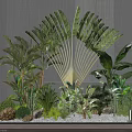Lush Indoor Green Plants Arrangement With Large Leaves Stones And Pebble Ground