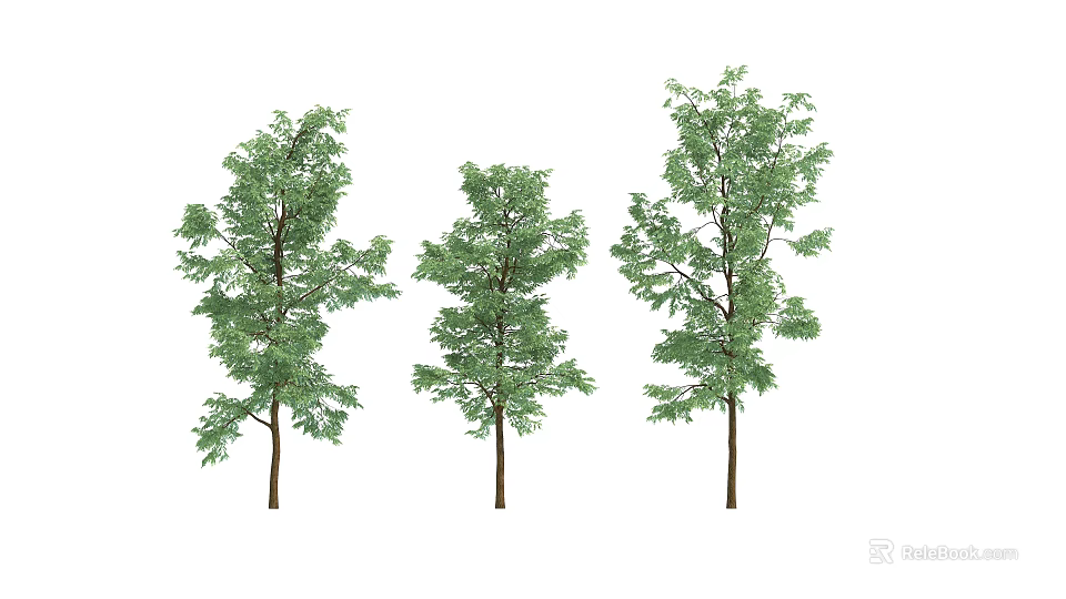 Three Arbor Trees With Green Leaves And Brown Trunks In Various Shapes 3d model 