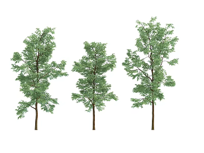 Three Arbor Trees With Green Leaves And Brown Trunks In Various Shapes 3d model