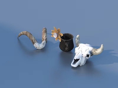 Decorative Household Items Featuring Ram Horns Sunflower Decoration Black Pot And Cow Skull 3d model