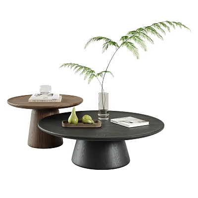 Round Coffee Tables Modern Design With Tray Pears Vase Green Plant And Book 3d model