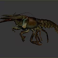 Realistic 3D Modeled Lobster In Standing Pose With Detailed Claws And Textured Shell