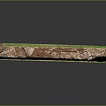 Long Natural Scenery With Green Grass Brown Soil And Black Borders