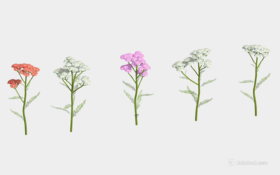 Colorful Garden Flowers with Orange Pink White Blooms Green Stems and Leaves in Row Arrangement 3d model 