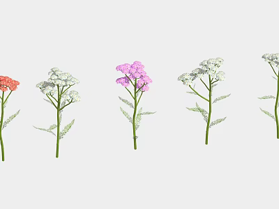 Colorful Garden Flowers with Orange Pink White Blooms Green Stems and Leaves in Row Arrangement 3d model