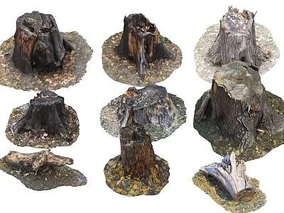 Various Rustic Stone Wood Tree Stumps with Natural Texture for Outdoor Garden Decor 3d model