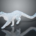 Snow Leopard Leopard 3d model