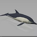 Origami Dolphin Model In Blue And White With Sleek Design And Reflective Surface
