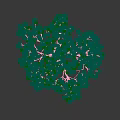 Arbor With Lush Green Leaves Thick Trunk Visible Roots Casting Shadow On Light Gray Background
