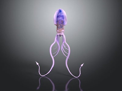 Modern cuttlefish 3d model