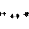 Sports Equipment Dumbbells In Three Different Styles For Gym Fitness Training