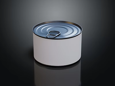 Modern canned food 3d model