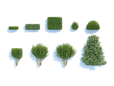 Various Shaped Bushes For Landscape Design Including Square Round And Rectangular Forms 3d model