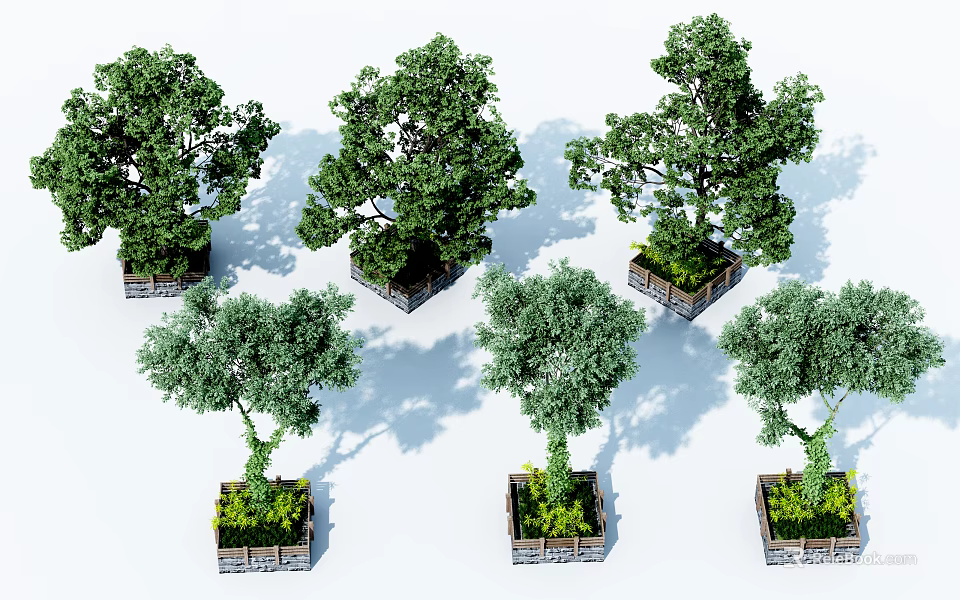 Square Tree Planters With Lush Green Trees And Wooden Borders For Outdoor Landscaping 3d model 