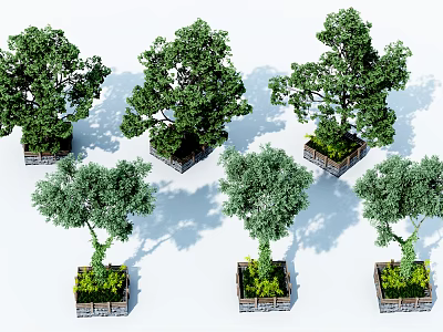 Square Tree Planters With Lush Green Trees And Wooden Borders For Outdoor Landscaping 3d model