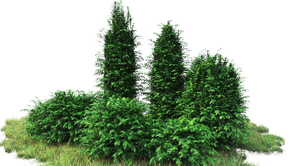 Lush Green Bushes With Various Heights In Natural Landscape Setting 3d model 